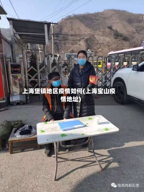 上海堡镇地区疫情如何(上海宝山疫情地址)-第3张图片