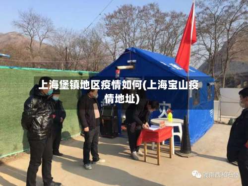 上海堡镇地区疫情如何(上海宝山疫情地址)-第1张图片