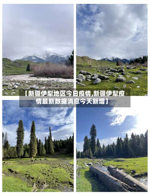 【新疆伊犁地区今日疫情,新疆伊犁疫情最新数据消息今天新增】-第1张图片