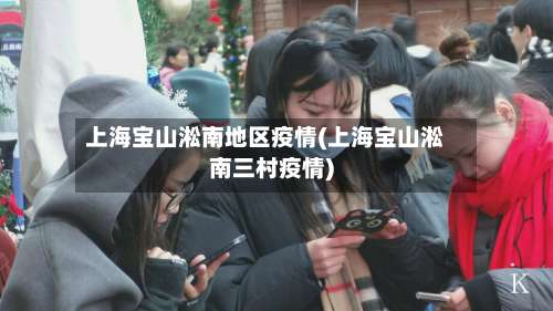 上海宝山淞南地区疫情(上海宝山淞南三村疫情)-第3张图片