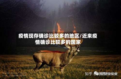 疫情现存确诊比较多的地区/近来疫情确诊比较多的国家-第1张图片