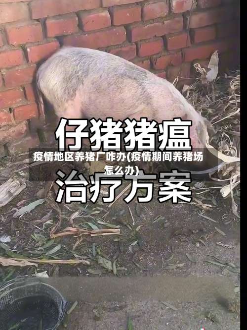 疫情地区养猪厂咋办(疫情期间养猪场怎么办)-第3张图片