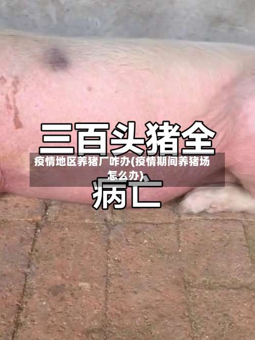 疫情地区养猪厂咋办(疫情期间养猪场怎么办)-第2张图片