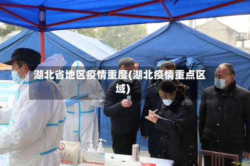 湖北省地区疫情重度(湖北疫情重点区域)-第2张图片