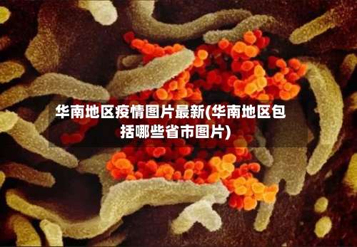 华南地区疫情图片最新(华南地区包括哪些省市图片)-第1张图片