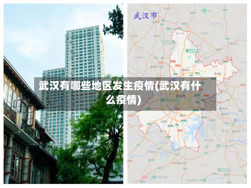 武汉有哪些地区发生疫情(武汉有什么疫情)-第3张图片