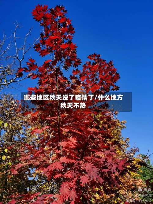 哪些地区秋天没了疫情了/什么地方秋天不热-第1张图片