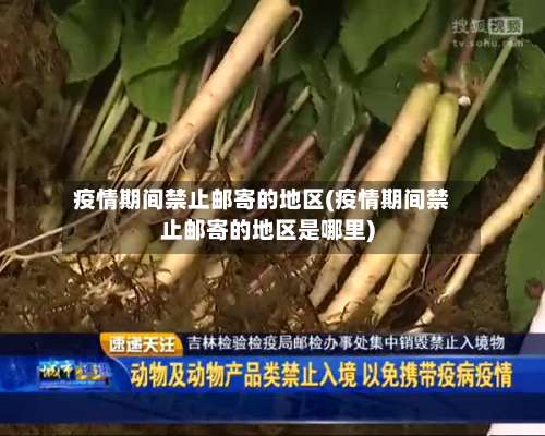 疫情期间禁止邮寄的地区(疫情期间禁止邮寄的地区是哪里)-第2张图片