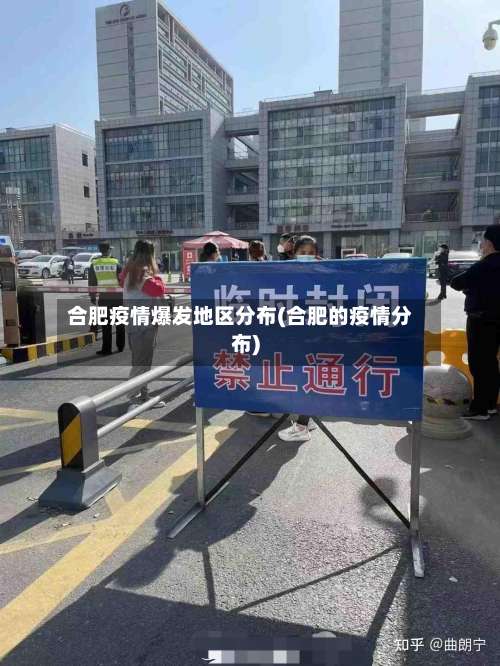 合肥疫情爆发地区分布(合肥的疫情分布)-第3张图片