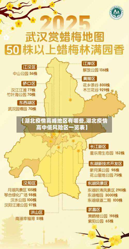 【湖北疫情高峰地区有哪些,湖北疫情高中低风险区一览表】-第3张图片