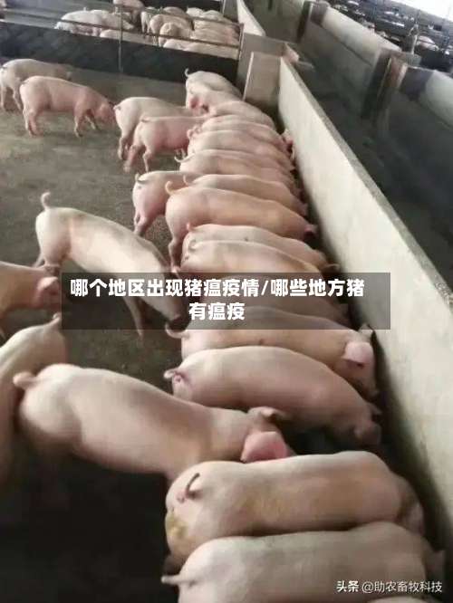 哪个地区出现猪瘟疫情/哪些地方猪有瘟疫-第1张图片