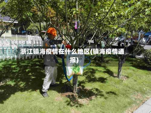 浙江镇海疫情在什么地区(镇海疫情通报)-第1张图片