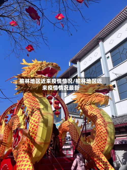 榆林地区近来疫情情况/榆林地区近来疫情情况最新-第1张图片