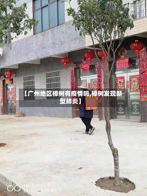 【广州地区樟树有疫情吗,樟树发现新型肺炎】-第2张图片