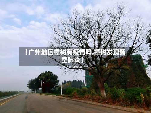 【广州地区樟树有疫情吗,樟树发现新型肺炎】-第1张图片