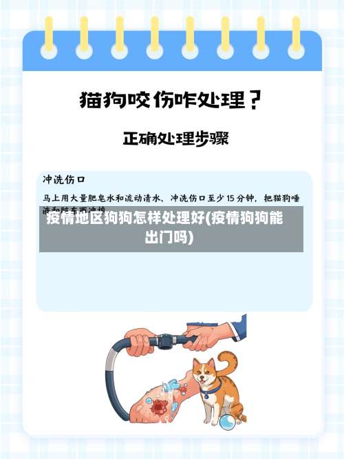 疫情地区狗狗怎样处理好(疫情狗狗能出门吗)-第1张图片