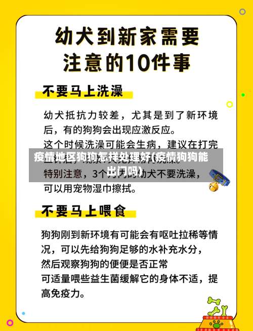疫情地区狗狗怎样处理好(疫情狗狗能出门吗)-第3张图片