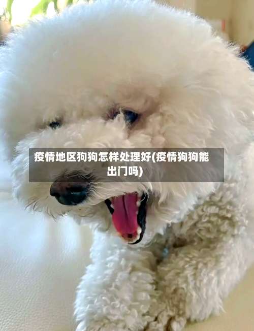 疫情地区狗狗怎样处理好(疫情狗狗能出门吗)-第2张图片