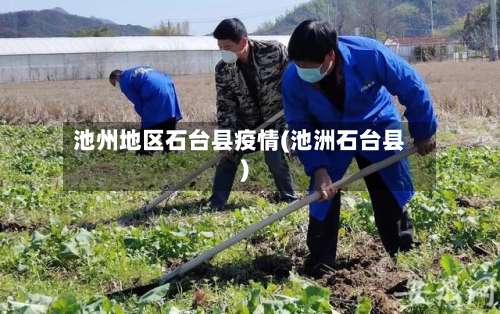 池州地区石台县疫情(池洲石台县)-第2张图片