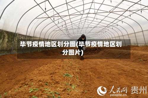 毕节疫情地区划分图(毕节疫情地区划分图片)-第1张图片