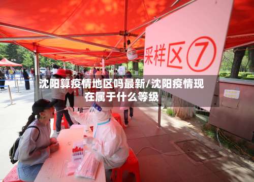 沈阳算疫情地区吗最新/沈阳疫情现在属于什么等级-第3张图片