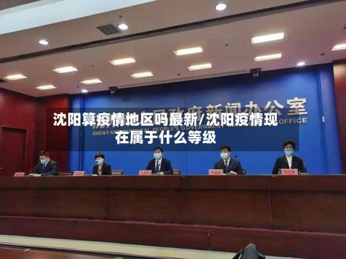 沈阳算疫情地区吗最新/沈阳疫情现在属于什么等级-第2张图片