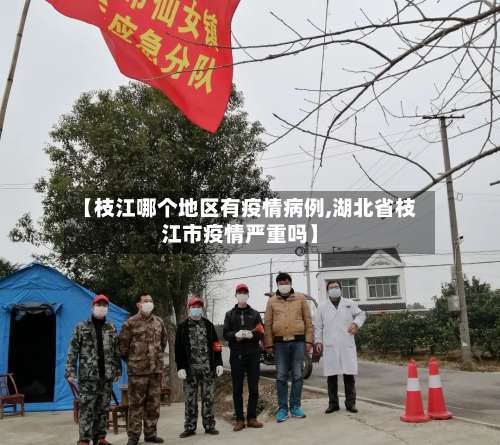 【枝江哪个地区有疫情病例,湖北省枝江市疫情严重吗】-第3张图片