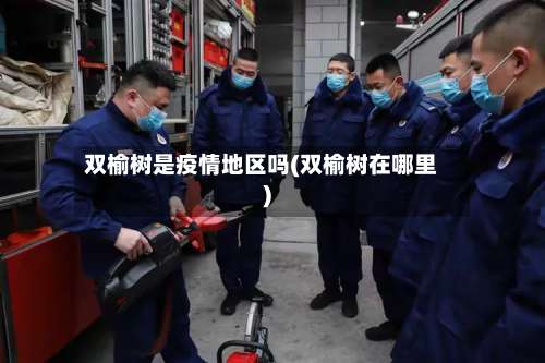 双榆树是疫情地区吗(双榆树在哪里)-第2张图片