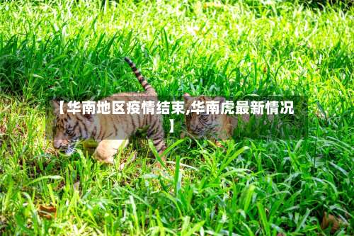 【华南地区疫情结束,华南虎最新情况】-第2张图片
