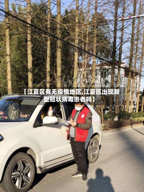 【江夏区有无疫情地区,江夏区出现新型冠状病毒患者吗】-第3张图片