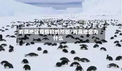 青藏地区疫情轻的原因/青藏地区为什么-第2张图片
