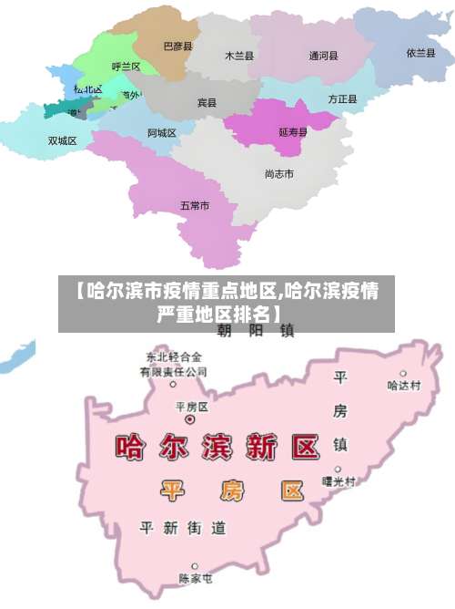 【哈尔滨市疫情重点地区,哈尔滨疫情严重地区排名】-第1张图片