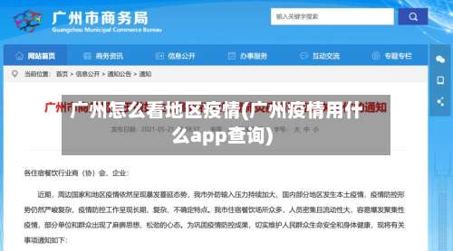 广州怎么看地区疫情(广州疫情用什么app查询)-第2张图片