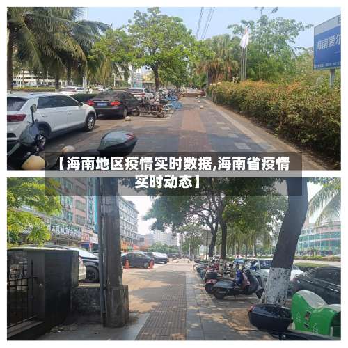 【海南地区疫情实时数据,海南省疫情实时动态】-第2张图片
