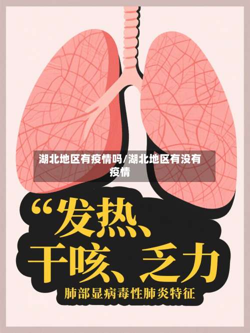 湖北地区有疫情吗/湖北地区有没有疫情-第1张图片