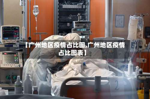 【广州地区疫情占比图,广州地区疫情占比图表】-第2张图片