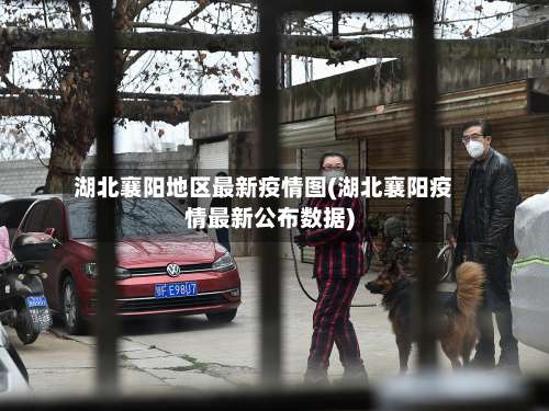 湖北襄阳地区最新疫情图(湖北襄阳疫情最新公布数据)-第2张图片