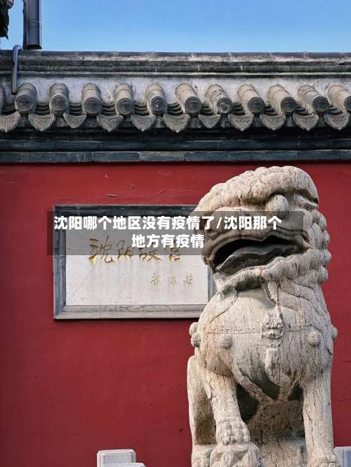 沈阳哪个地区没有疫情了/沈阳那个地方有疫情-第1张图片