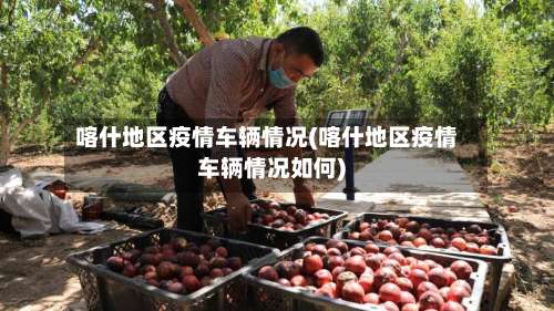 喀什地区疫情车辆情况(喀什地区疫情车辆情况如何)-第1张图片