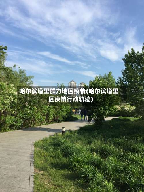 哈尔滨道里群力地区疫情(哈尔滨道里区疫情行动轨迹)-第2张图片