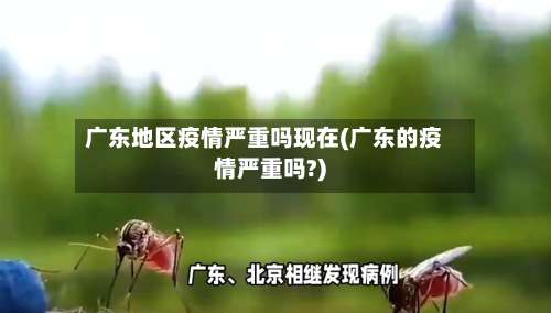广东地区疫情严重吗现在(广东的疫情严重吗?)-第2张图片