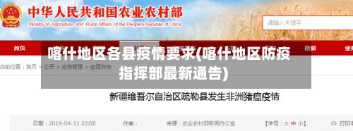 喀什地区各县疫情要求(喀什地区防疫指挥部最新通告)-第2张图片