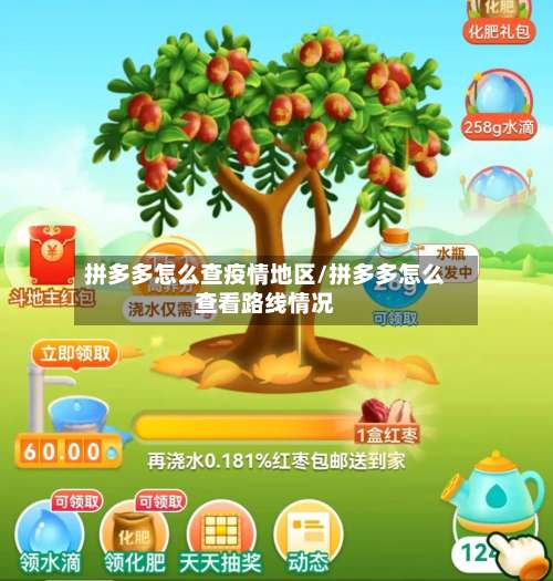 拼多多怎么查疫情地区/拼多多怎么查看路线情况-第2张图片