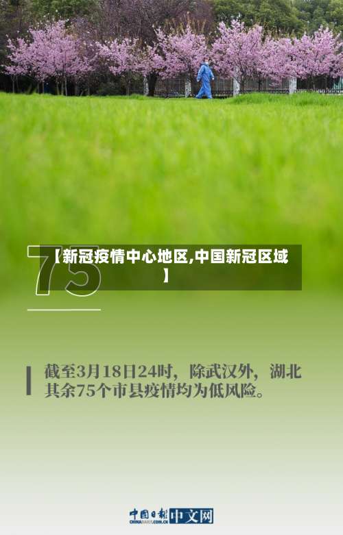 【新冠疫情中心地区,中国新冠区域】-第3张图片