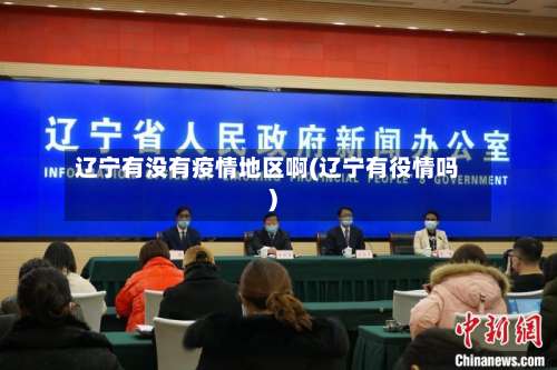 辽宁有没有疫情地区啊(辽宁有役情吗)-第1张图片