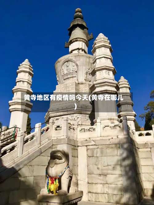 黄寺地区有疫情吗今天(黄寺在哪儿)-第1张图片