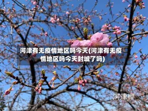 河津有无疫情地区吗今天(河津有无疫情地区吗今天封城了吗)-第1张图片