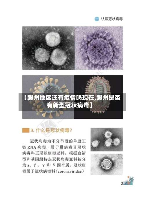 【赣州地区还有疫情吗现在,赣州是否有新型冠状病毒】-第2张图片