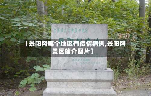 【景阳冈哪个地区有疫情病例,景阳冈景区简介图片】-第1张图片