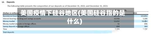美国疫情下硅谷地区(美国硅谷指的是什么)-第1张图片